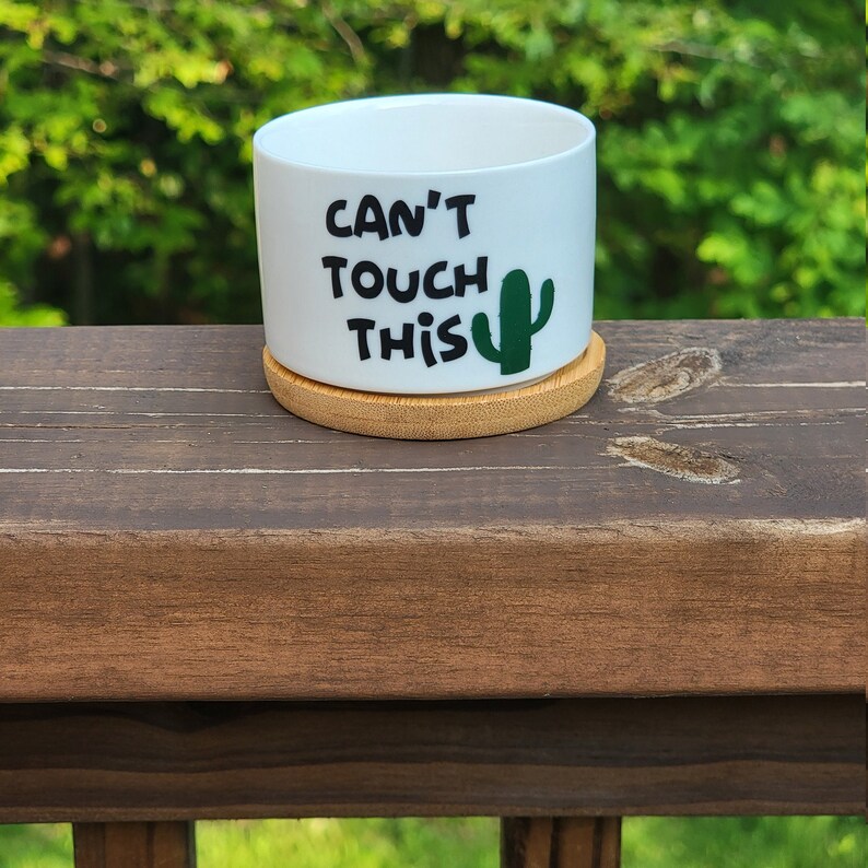 Funny Cactus Succulent Pots, Small Plant Pot With Bamboo Drip Tray ...