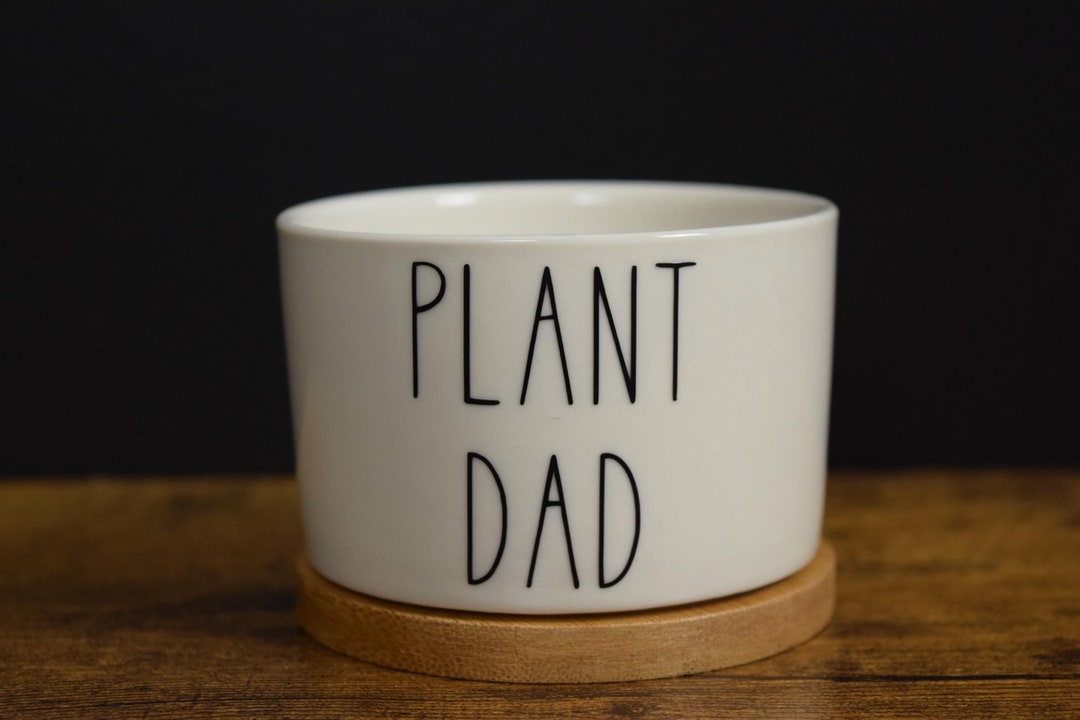 Plant Dad Succulent Pot, Punny Planter, Funny Mini 3inch Pot Bamboo ...