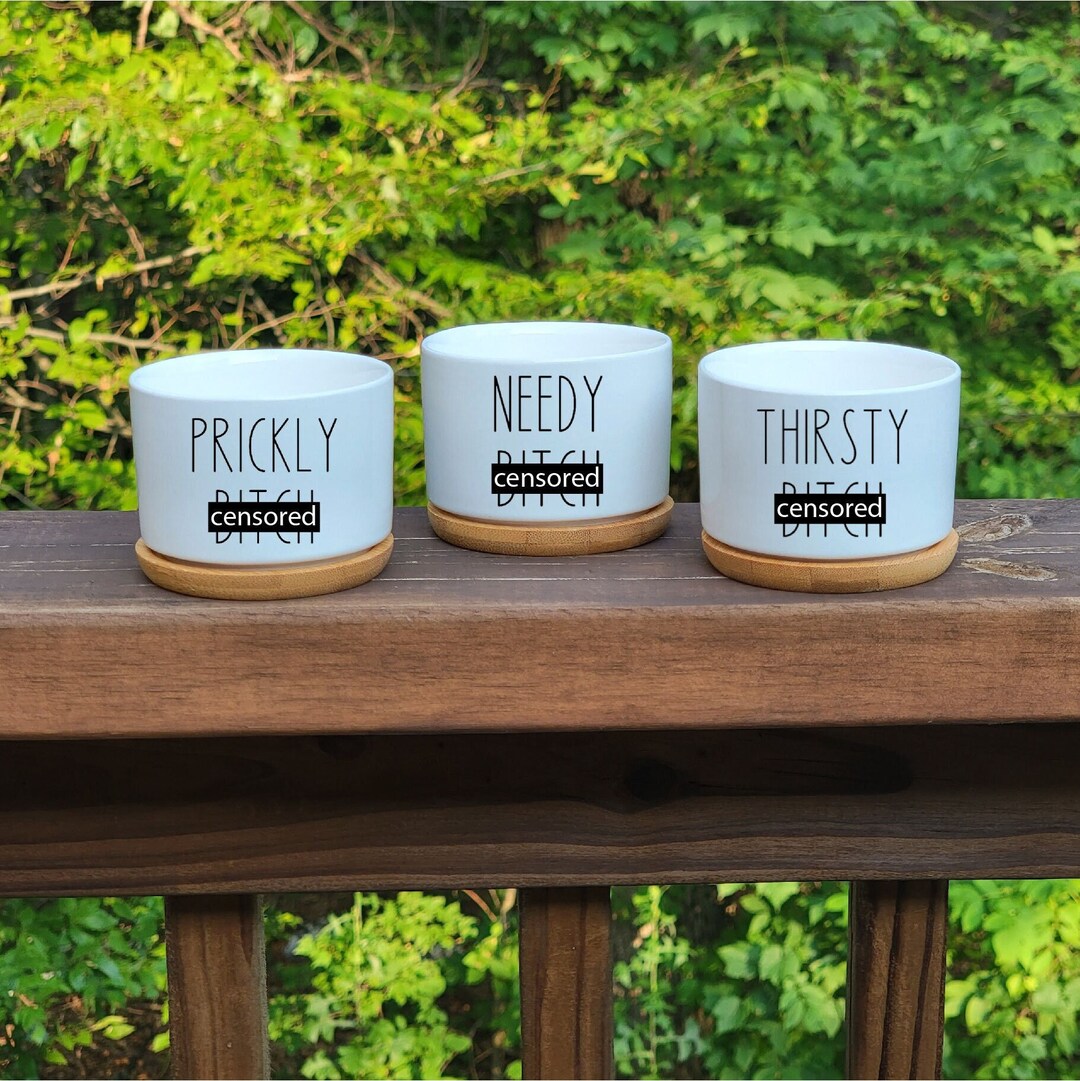 B*tches Succulent Planters, 3 Pack Funny Plant Pots, Mini 2inch Pot ...