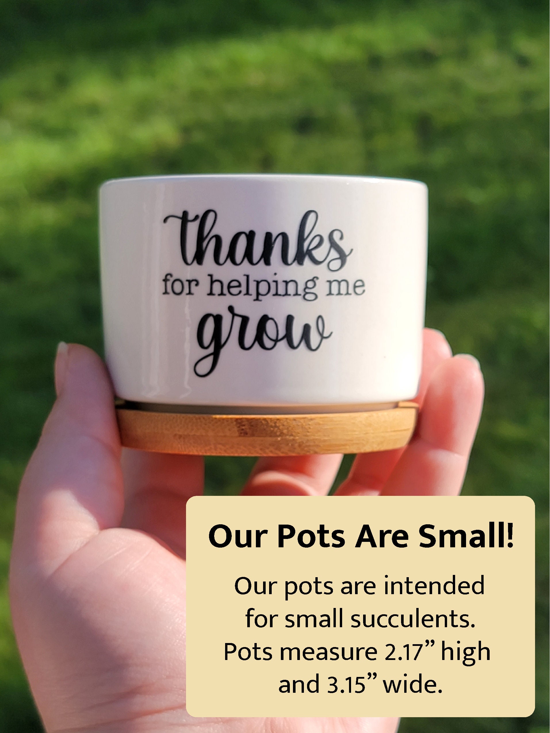 Funny I Wet My Plants Succulent Pot, Punny Planter, Mini 2inch Pot With ...