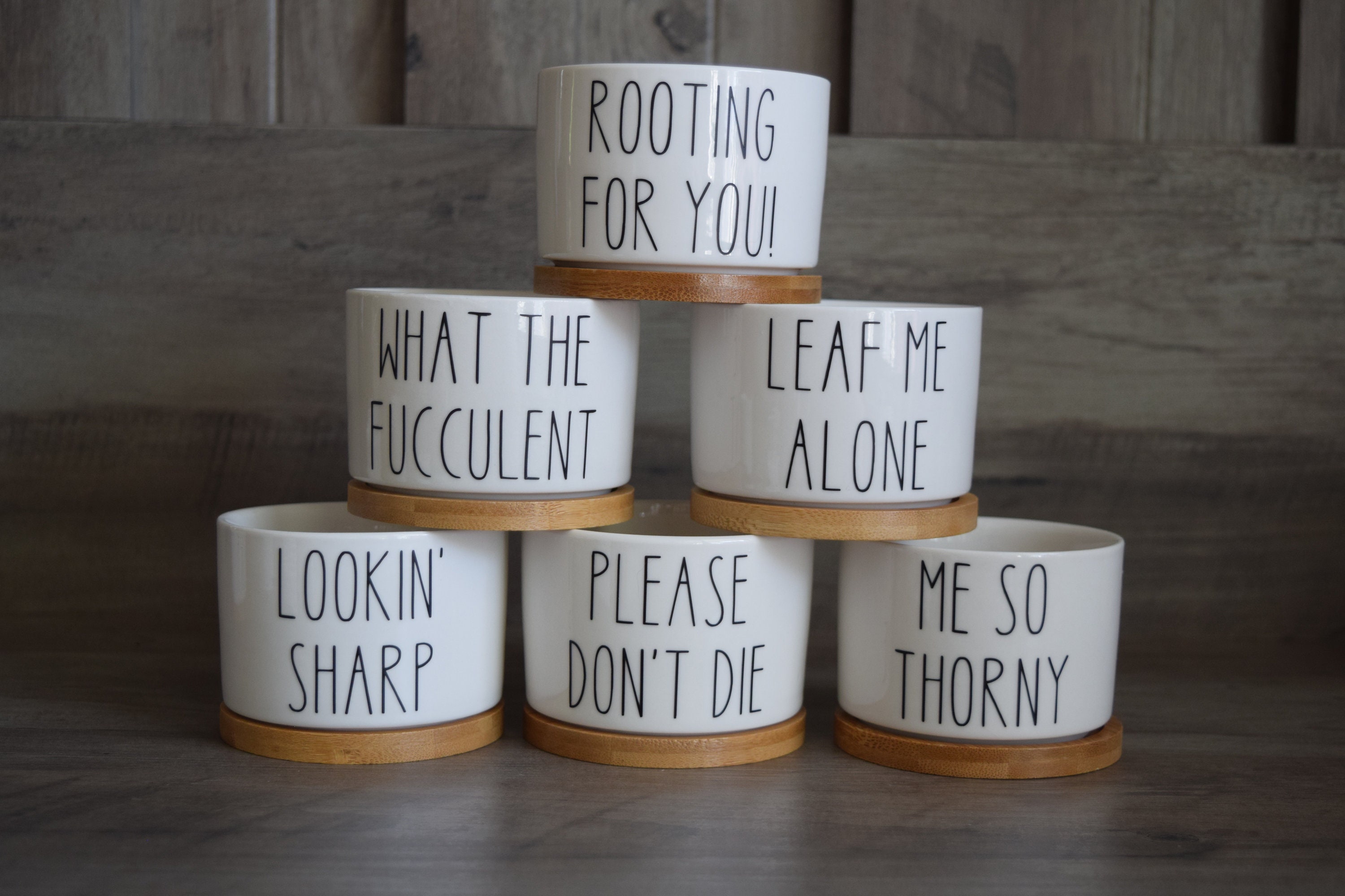 Funny I Wet My Plants Succulent Pot, Punny Planter, Mini 2inch Pot With ...