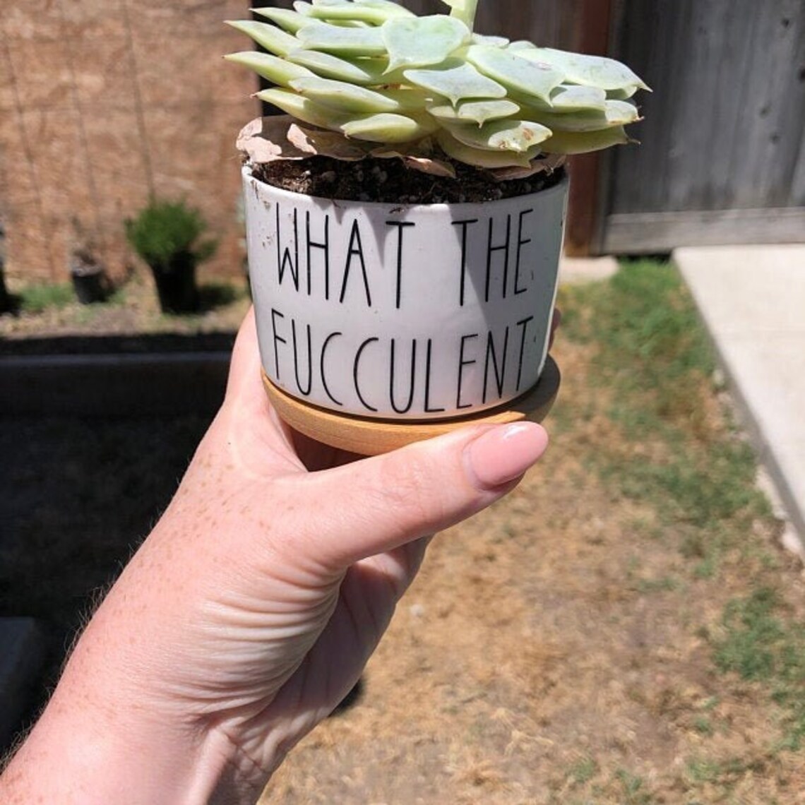 Funny Succulent Pots Small Plant Pot With Bamboo Tray Cute Etsy
