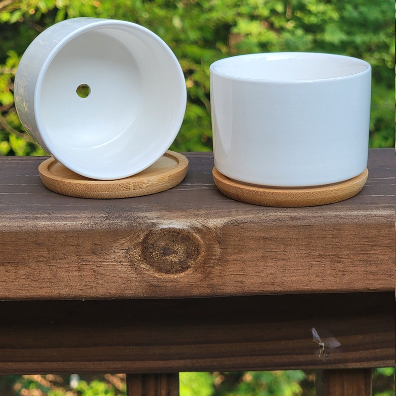 Funny Cactus Succulent Pots, Small Plant Pot With Bamboo Drip Tray ...
