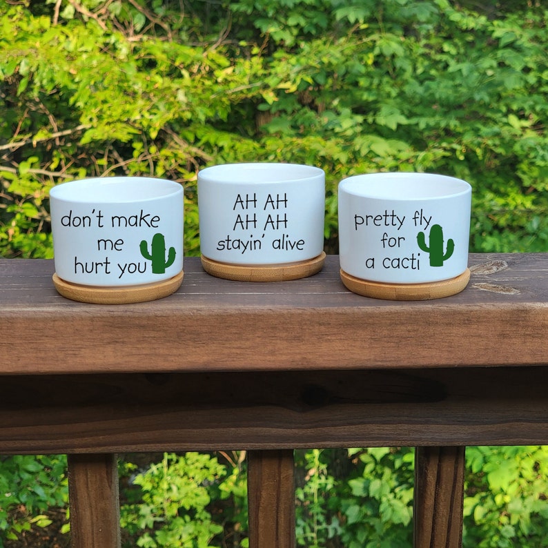 Funny Cactus Succulent Pots, Small Plant Pot With Tray - Cute Cactus ...