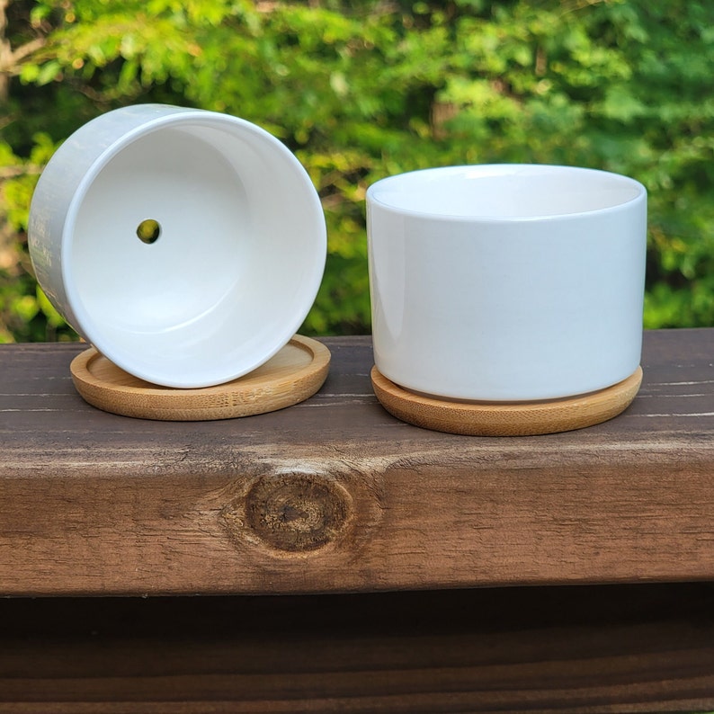Funny Succulent Pots, Small Plant Pot With Bamboo Tray, Cute Coworker ...