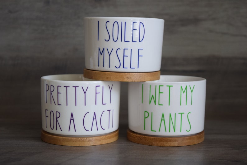 Funny I Wet My Plants Succulent Pot, Punny Planter, Mini 2inch Pot With ...