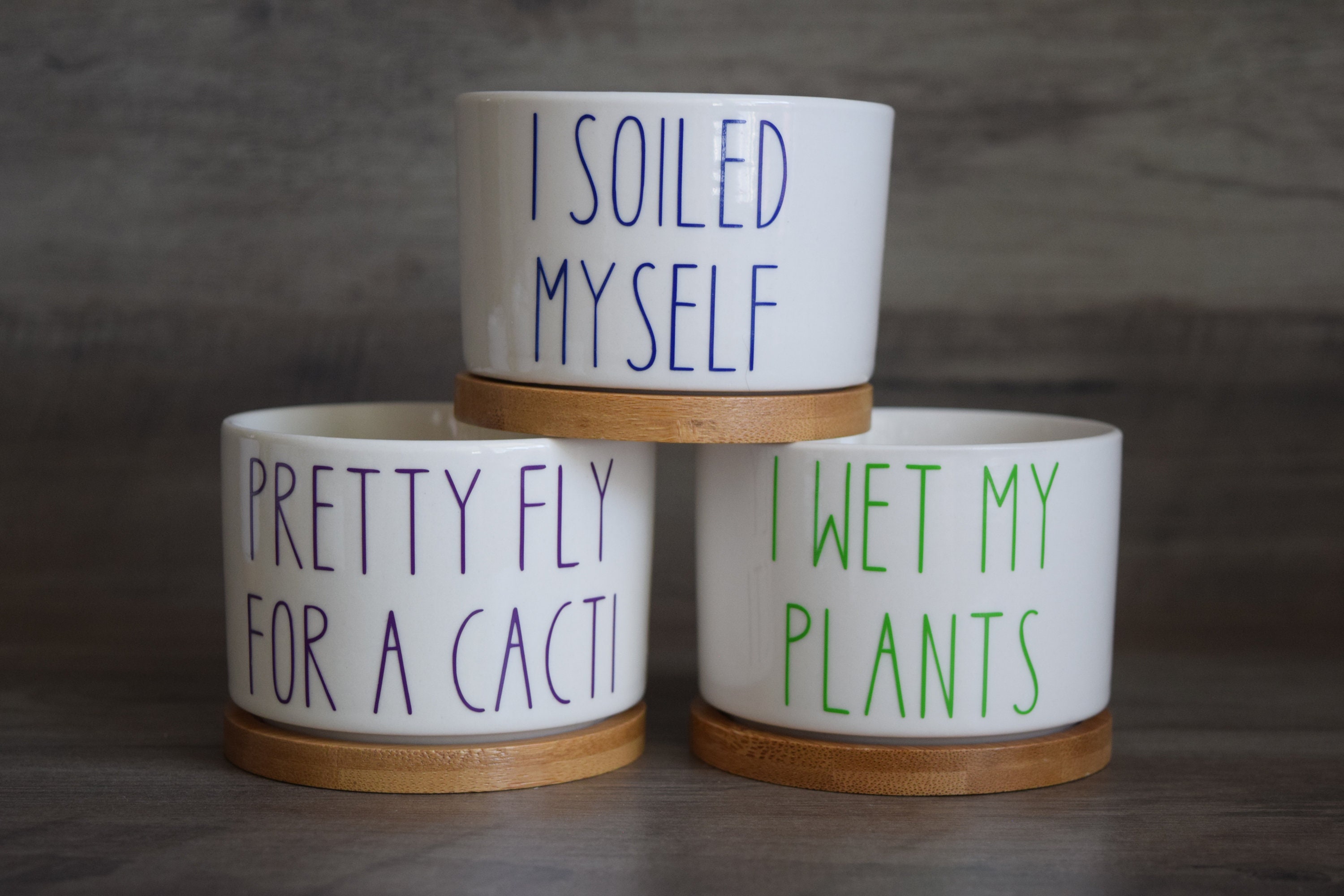 Funny I Wet My Plants Succulent Pot, Punny Planter, Mini 2inch Pot With ...