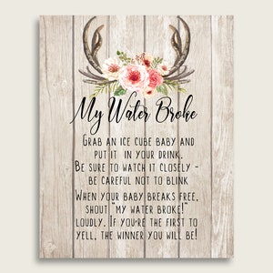 Boho Antlers Baby Shower My Water Broke Game Printable, Beige Pink Ice Cube Babies Game, Girl Baby Shower Frozen Babies Game Sign 8x10 9PUAC