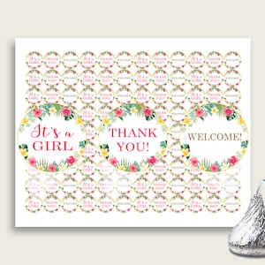 Hershey Kisses Baby Shower Hershey Kisses Hawaiian Baby Shower Hershey Kisses Baby Shower Hawaiian Hershey Kisses Pink Green Summer 955MG