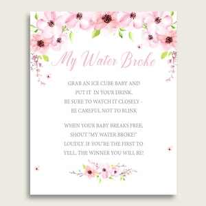 Flower Blush Baby Shower My Water Broke Game Printable, Pink Green Ice Cube Babies Game, Girl Baby Shower Frozen Babies Game Sign 8x10 VH1KL