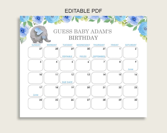 Blue Elephant 2 Blue Baby Boy Personalised Guess the Baby's Due Date Game 