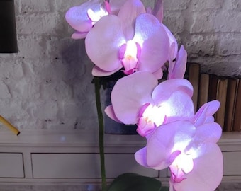 Big flower lamp, orchid floor lamp, luminous flower, bedroom floor lamp, White orchid, Original flower lantern, Phalaenopsis Night light