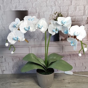 Große Blumenlampe, Orchideenstehlampe, leuchtende Blume, Schlafzimmerstehlampe, weiße Orchidee, Originalblumenlaterne, Phalaenopsis Nachtlicht