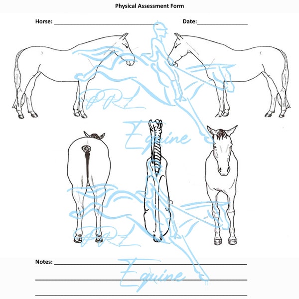 Equine Bodywork Form