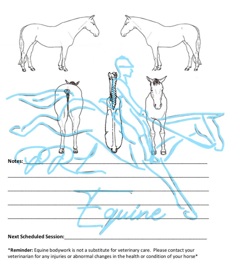 Equine History Assessment Form Etsy