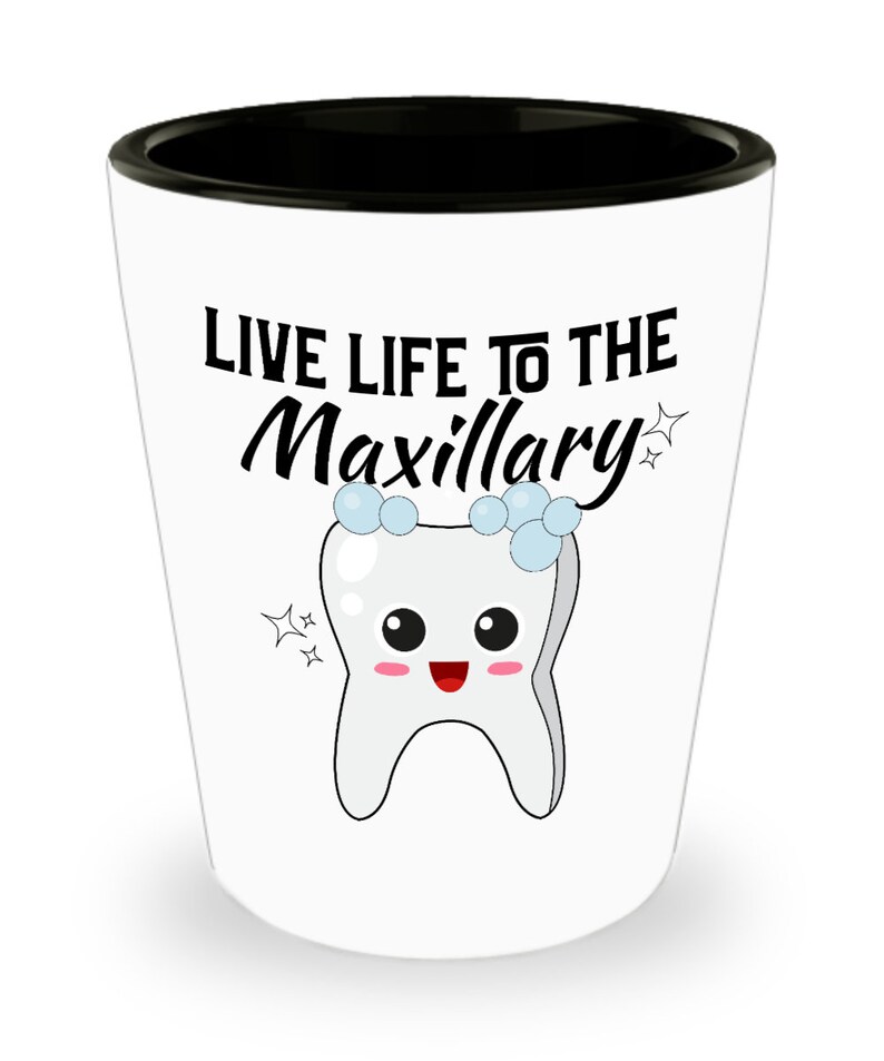 Dentist Shot Dental Funny Shot Glasses Dental Assistant Etsy