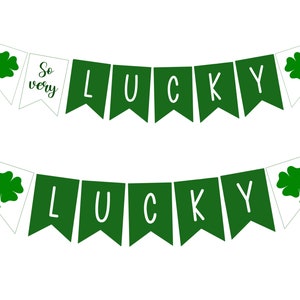 St Patricks day banner, garland, decor!