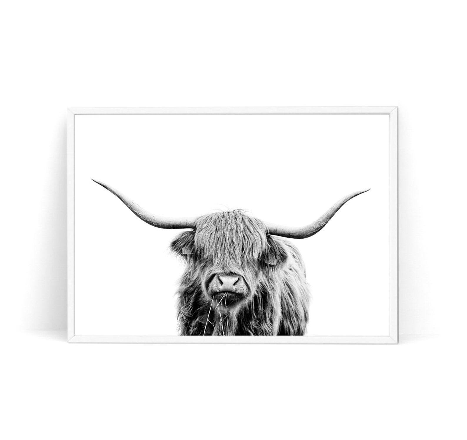 Highland Cow Print Scandinavian Wall Art Shaggy Cow Wall Etsy