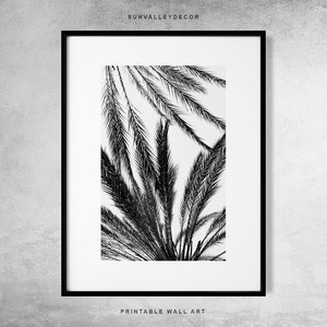 Palm Tree Print, Palm Tree Art, Digital Download, Palm Leaf, California Photography, Black and White Prints, Tropical Decor, Printable Art