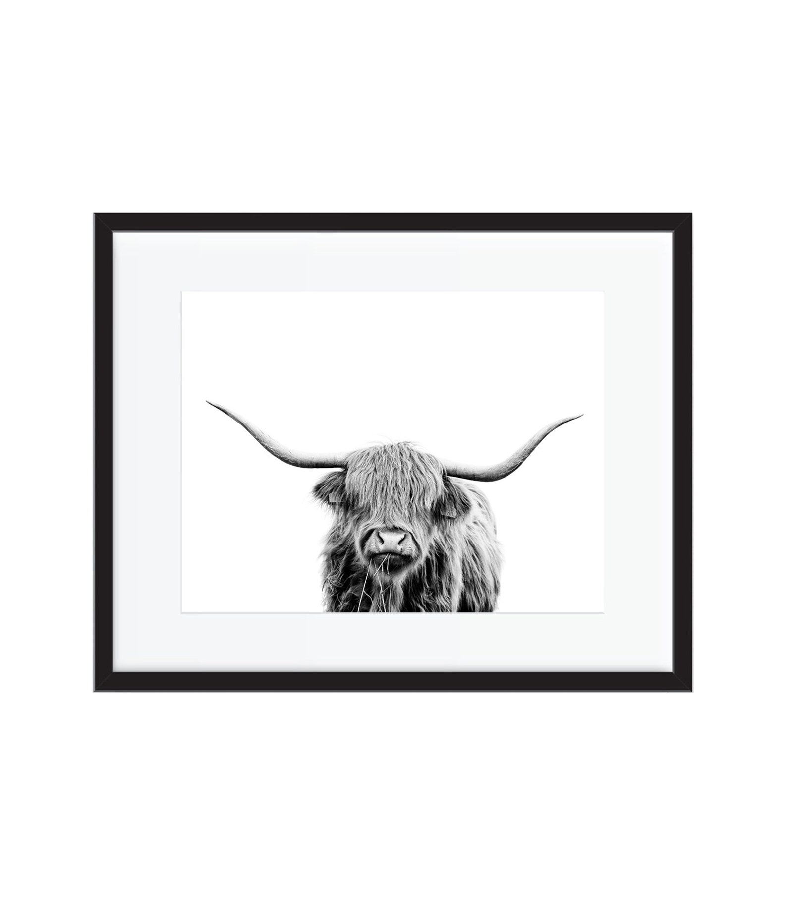 Highland Cow Print Scandinavian Wall Art Shaggy Cow Wall Etsy