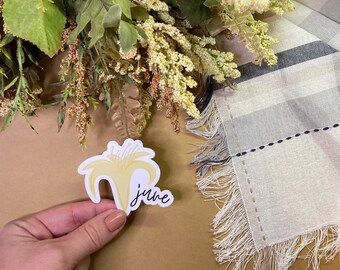 May include: A yellow flower sticker with the word "June" written in black cursive.