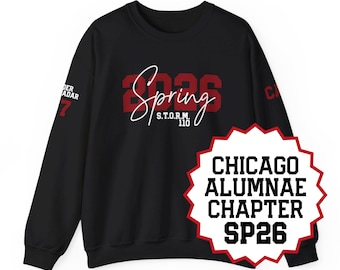 CUSTOM | Chicago Alumnae Chapter - SP26, "S.T.O.R.M. 110" - Delta Line Sister Shirts