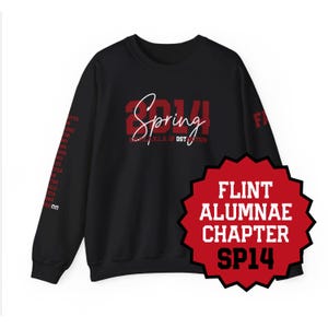 May include: Black sweatshirt with red and white text. The front features "Spring 2014" and "X.R.L.S. of DST" in a script font. A red starburst graphic reads "Flint Alumnae Chapter SP14".