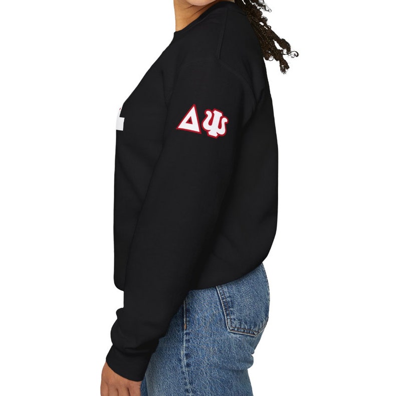May include: Black sweatshirt with white text and a red and white Greek letter design on the sleeve. The text reads "Delta Sigma Theta".