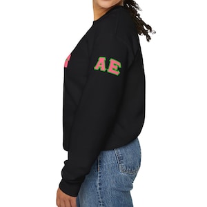 May include: Black sweatshirt with long sleeves and pink and green lettering that says "AE" on the left sleeve.