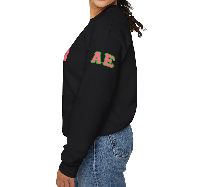 May include: Black sweatshirt with long sleeves and pink and green lettering that says "AE" on the left sleeve.