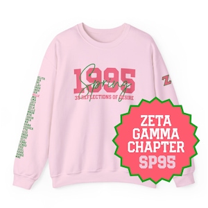 May include: A light pink crewneck sweatshirt featuring the text 1995 SPRING 33 REFLECTIONS OF DESIRE in pink and green. The left sleeve displays a list of names in green, while the right sleeve has a green and pink Z logo. A pink starburst graphic reads ZETA GAMMA CHAPTER SP95.