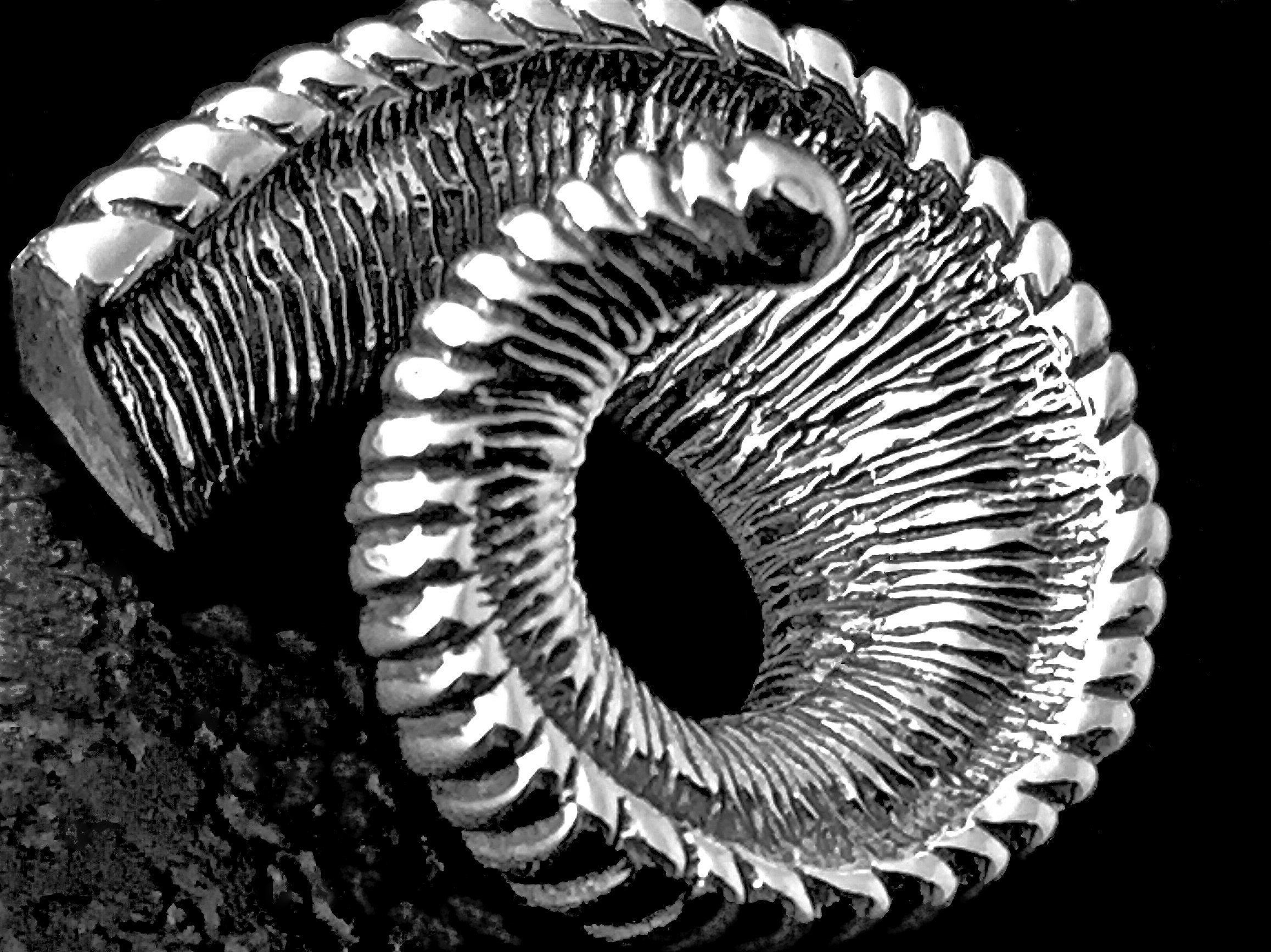 Silver Bighorn Sheep Horn Necklace Ram Horn Jewelry Bighorn Etsy