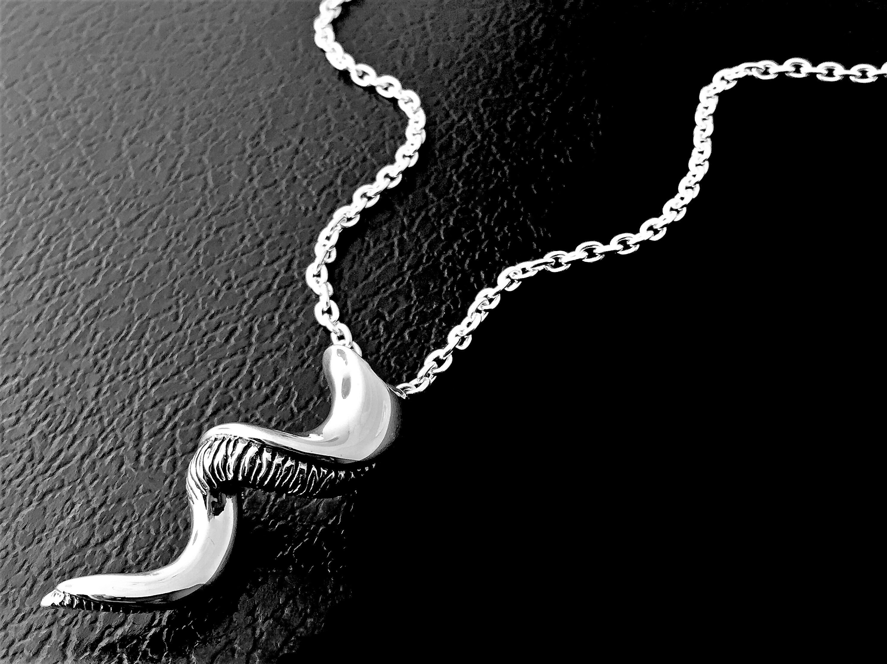 Silver Kudu Horn Necklace African Kudu Horn Jewelry Kudu Etsy