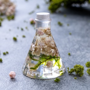 Flower moss potion - Floral set of 7 Potion dice, Plant bottle dice set, Alchemist Bottle for RPG, dnd plant unusual dice set byFlowerfox