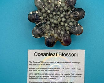 Oceanleaf Blossom