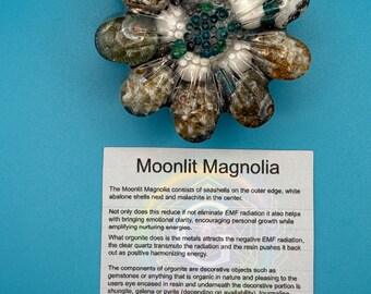 Moonlit Magnolia