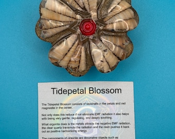 Tidepetal Blossom