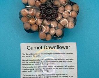 Garnet Dawnflower