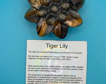 Tiger Lily
