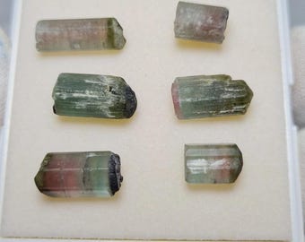 May include: Six raw tourmaline crystals in a white display box. The crystals display a range of colors, including pink, green, and clear. The crystals are rough-cut and have a natural, unpolished appearance.