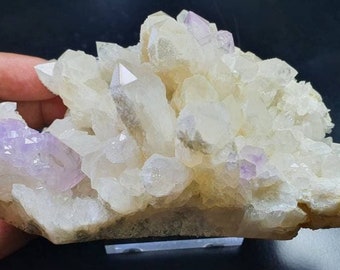 Scepter Amethyst on Quartz matrix. RARE locality