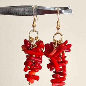Red Coral Cluster Earrings: Artisan Boho Gemstone Dangle