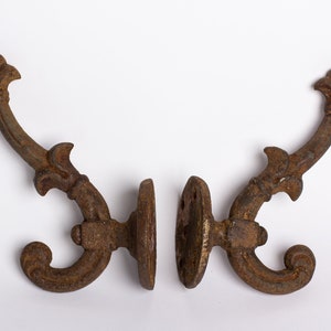 Könnte beinhalten: Zwei Wandhaken aus Gusseisen im antiken Stil. Jeder Haken hat ein dekoratives Fleur-de-Lis-Design und verzierte Kurven. Die Haken sind rostbraun, was auf Alter und einen Vintage-Stil hindeutet. Sie sind auf runden Sockeln montiert.