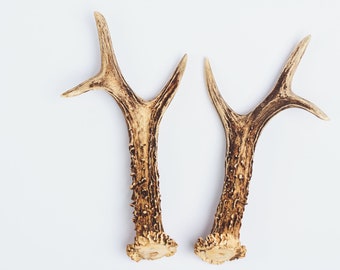 real reindeer antlers for sale