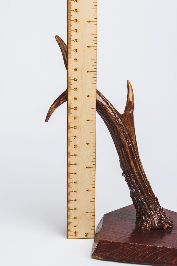 Deer horn jewelry holder best sale