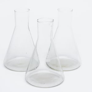 Cone flask 250ml Set of 3 Chemical glass Laboratory glassware Science equipment Apothecary Pharmacy lab floral pot Medical decor