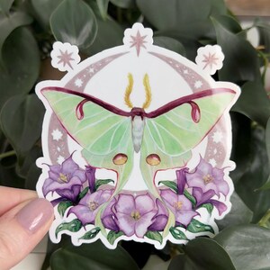 Moonlight Luna Motte Vinyl Aufkleber - Night Time, Datura, Crescent Moon