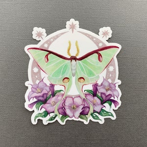 Moonlight Luna Moth Vinyl Sticker Night Time, Datura, Crescent Moon image 5