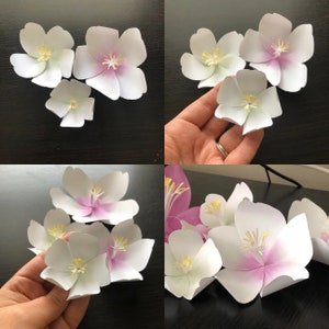 Modello di fiore di carta con fiori di ciliegio in formato SVG e PDF 75