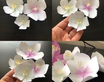 SVG Cherry Blossom Paper Flower Template 75